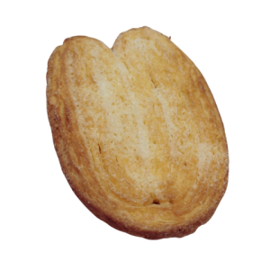 Palmera de azúcar